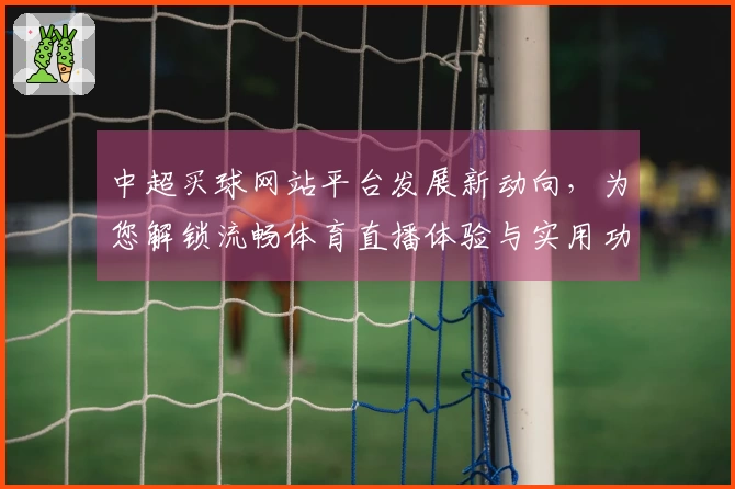 中超买球网站平台发展新动向，为您解锁流畅体育直播体验与实用功能指引